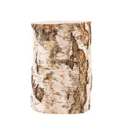Birch houten urn