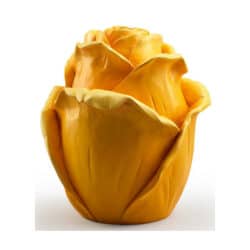 Rose flower closed houten mini-urn