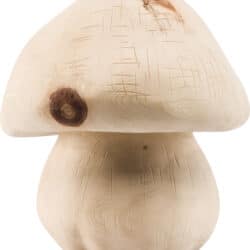 Mushroom houten urn