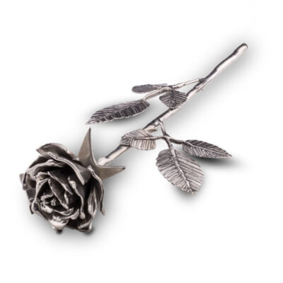 Asbeeld zilvertin – Een roos in bloei